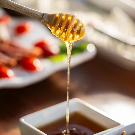 Oda ve Kahvaltı Aegean Hospitality 4*