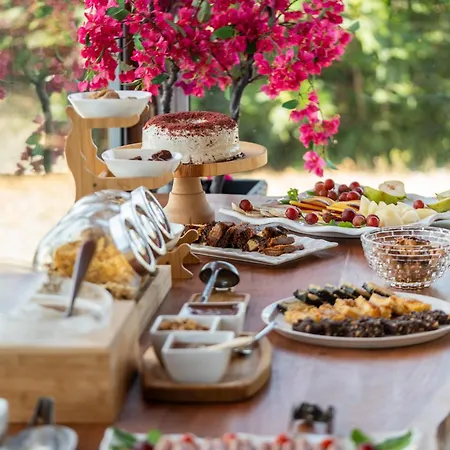 Aegean Hospitality Bed & Breakfast Mykonos Town