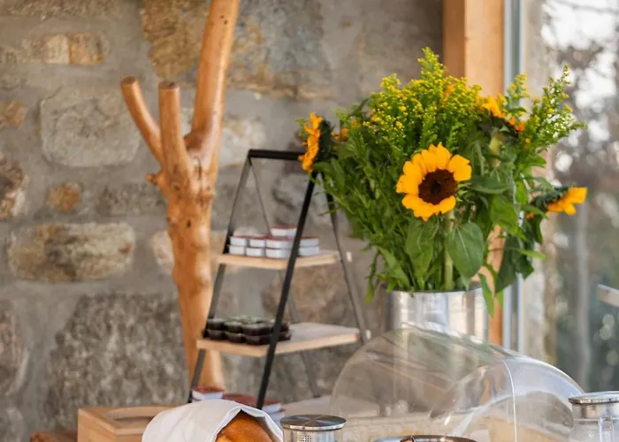 Aegean Hospitality Bed and Breakfast Mykonos Town